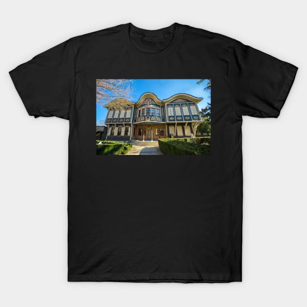 Regional Ethnographic Museum in Plovdiv, Bulgaria T-Shirt by mitzobs